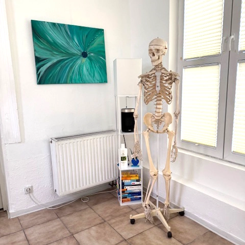 Praxiszimmer mit Skelett und Bild an der Wand